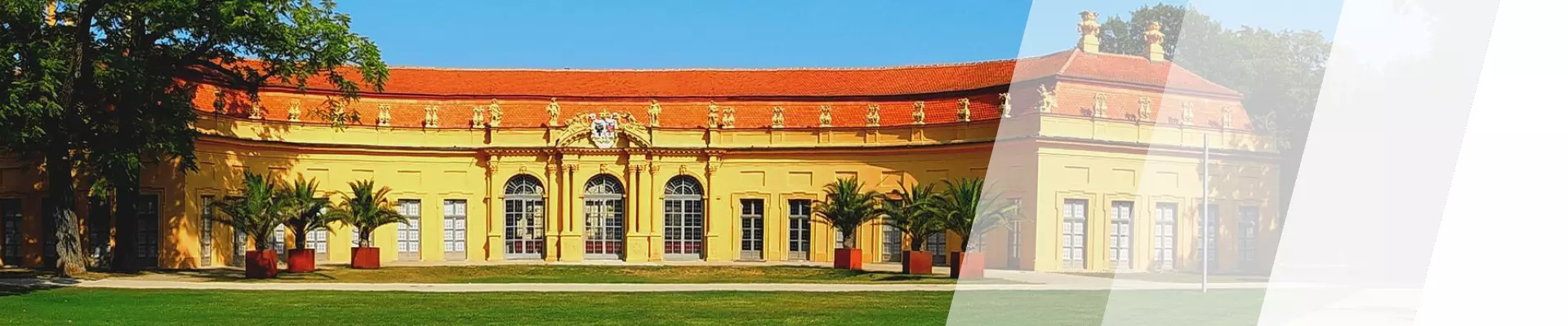 MPU Beratung Erlangen